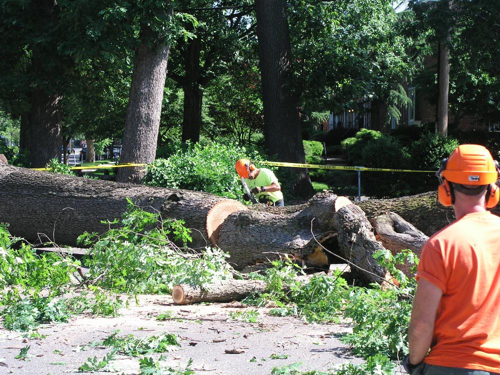 Community Services Operations 3